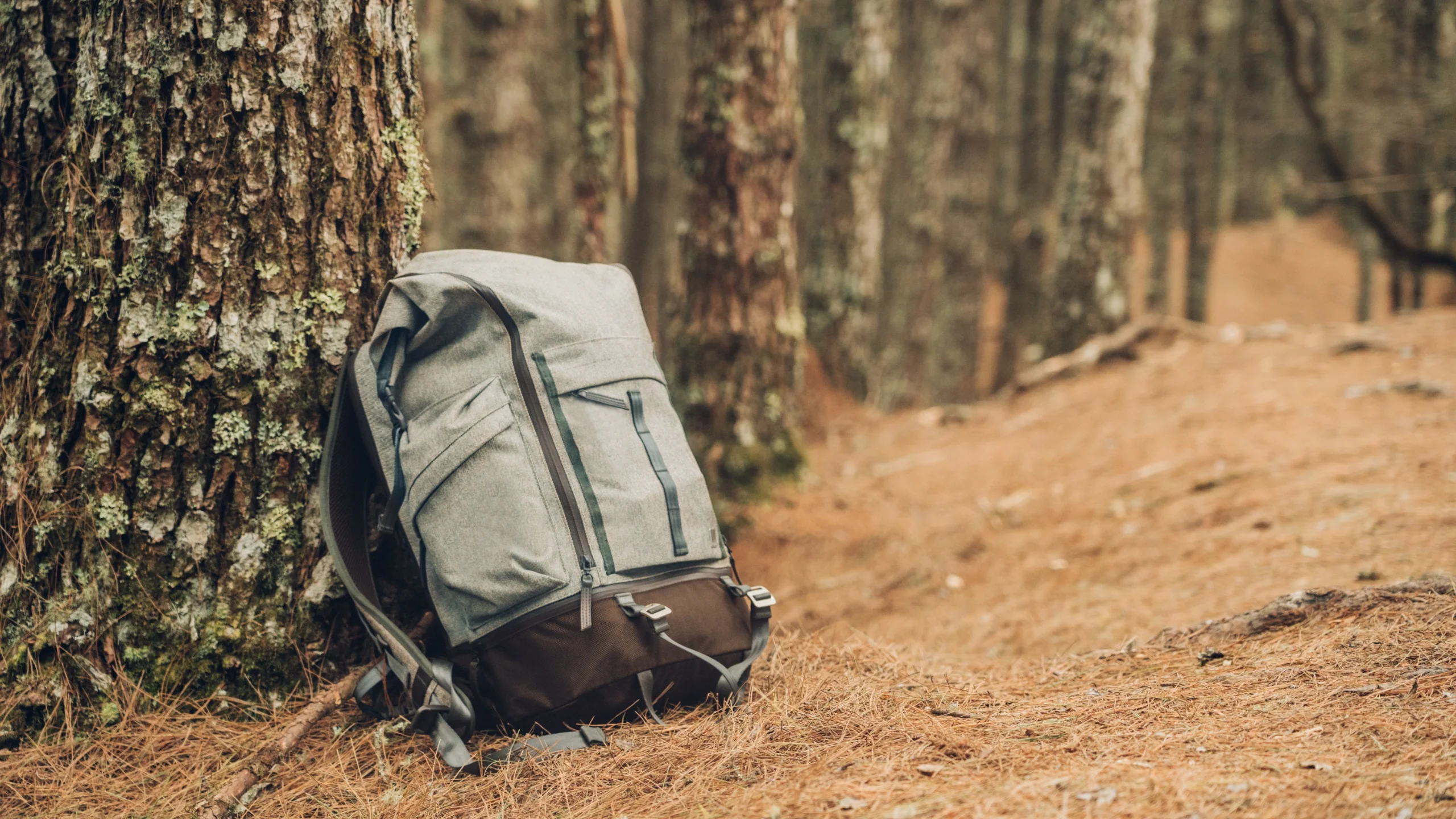 Captus Rolltop Backpack - Image 10