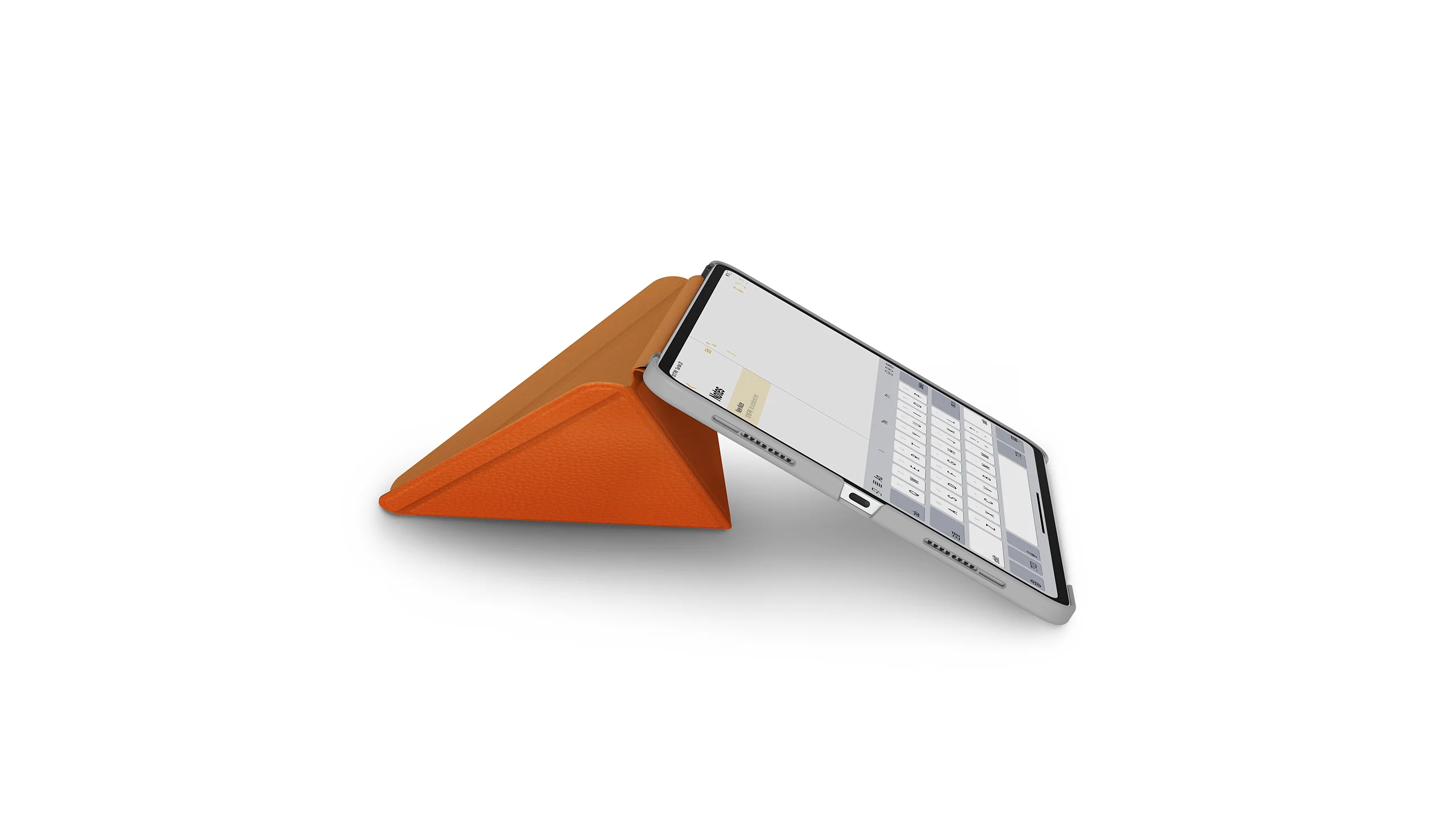 VersaCover Case with Folding Cover - Image 10